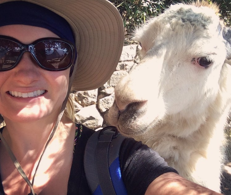 2.1470345736.llama-friend