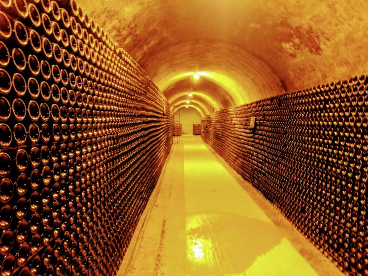 Champagne tunnel