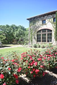Duchman Family Winery Wimberley, Texas