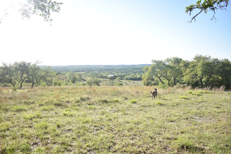 Whiskey Creek Ranch Wimberley Texas