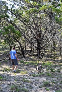Whiskey Creek Ranch Wimberley Texas