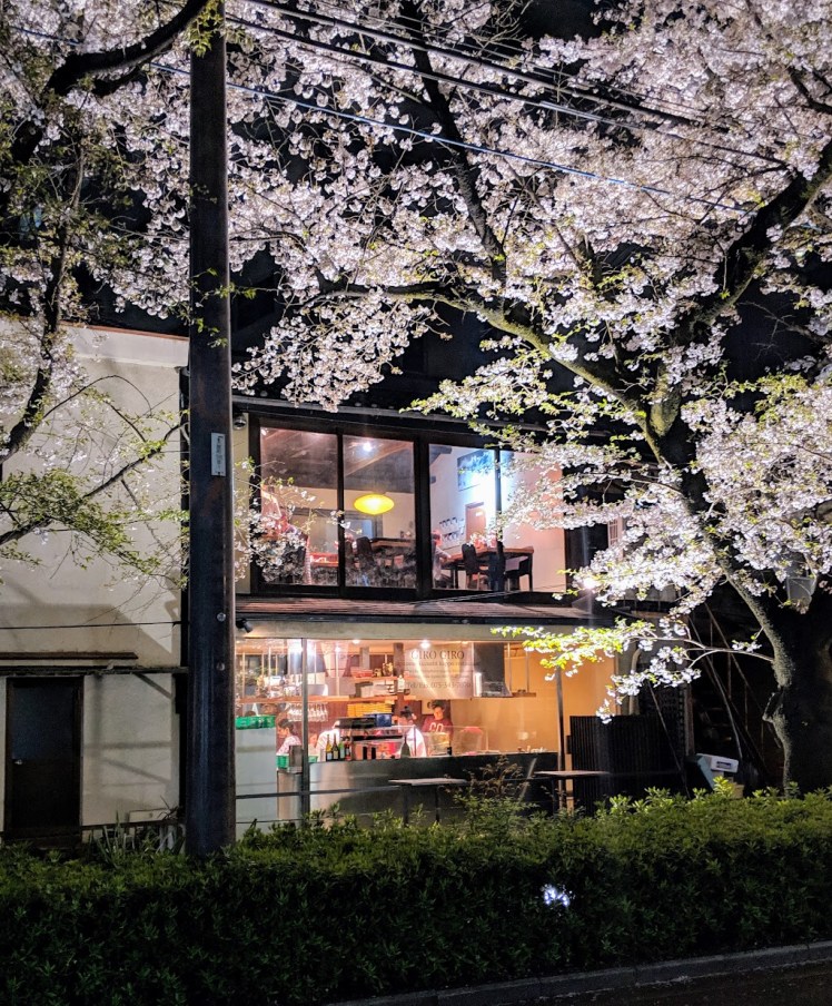 Giro Giro Kaiseki romantic location on lit up sakura canal