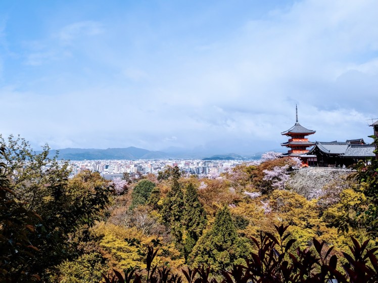 Kiyomizudera sakura
